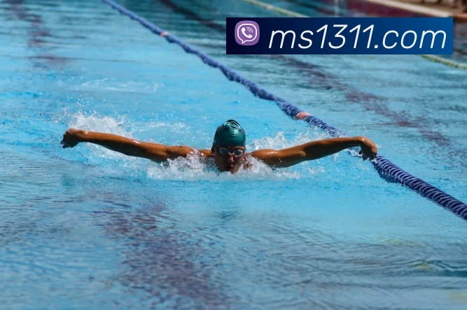 M88明升体育服务体系